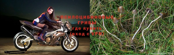 герыч Богданович