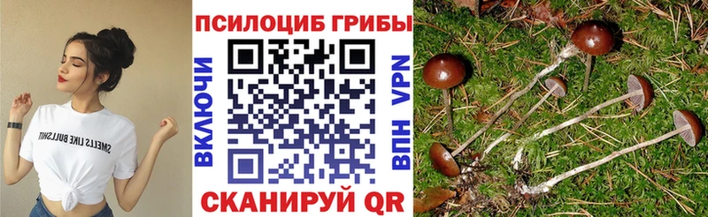 как найти наркотики Красновишерск Псилоцибиновые грибы ЛСД